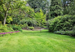 Optimiser l'expérience du jardin à Laperriere-sur-Saone